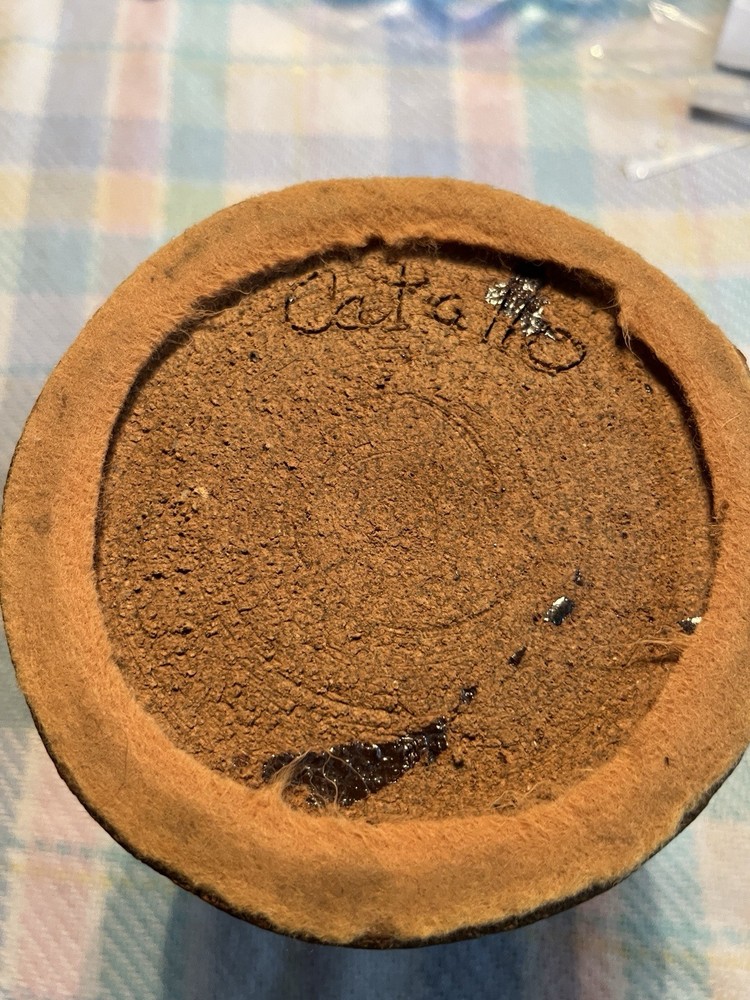 Handmade Pottery Vase Signed Catallo