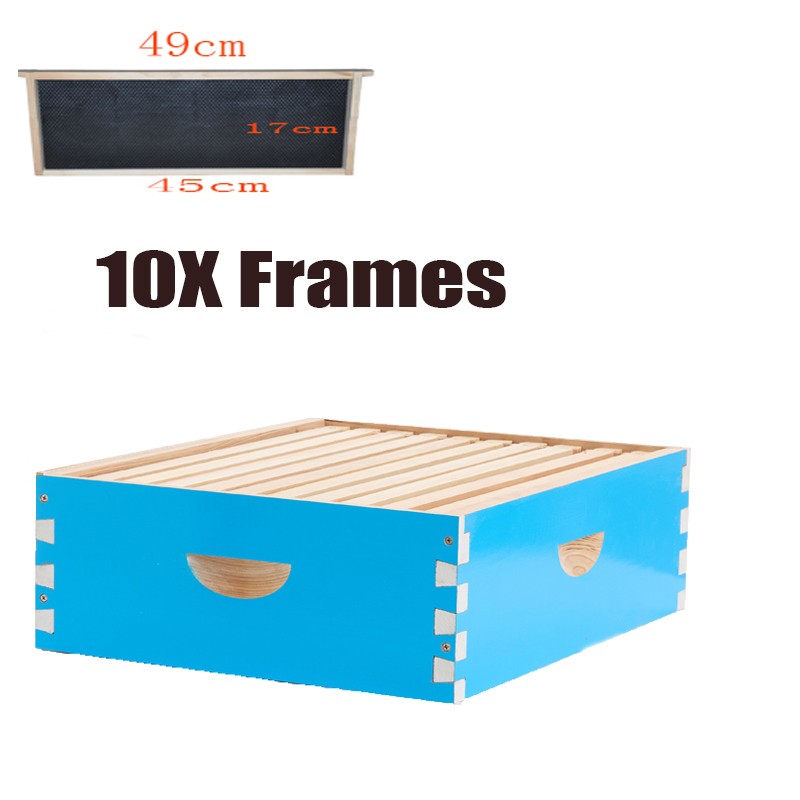 10 Frame Langstroth Bee Hive Coated Bee Painting Includes 30X Beehive Frames