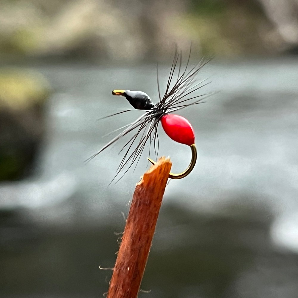 Black Flying Ant | Size #12
