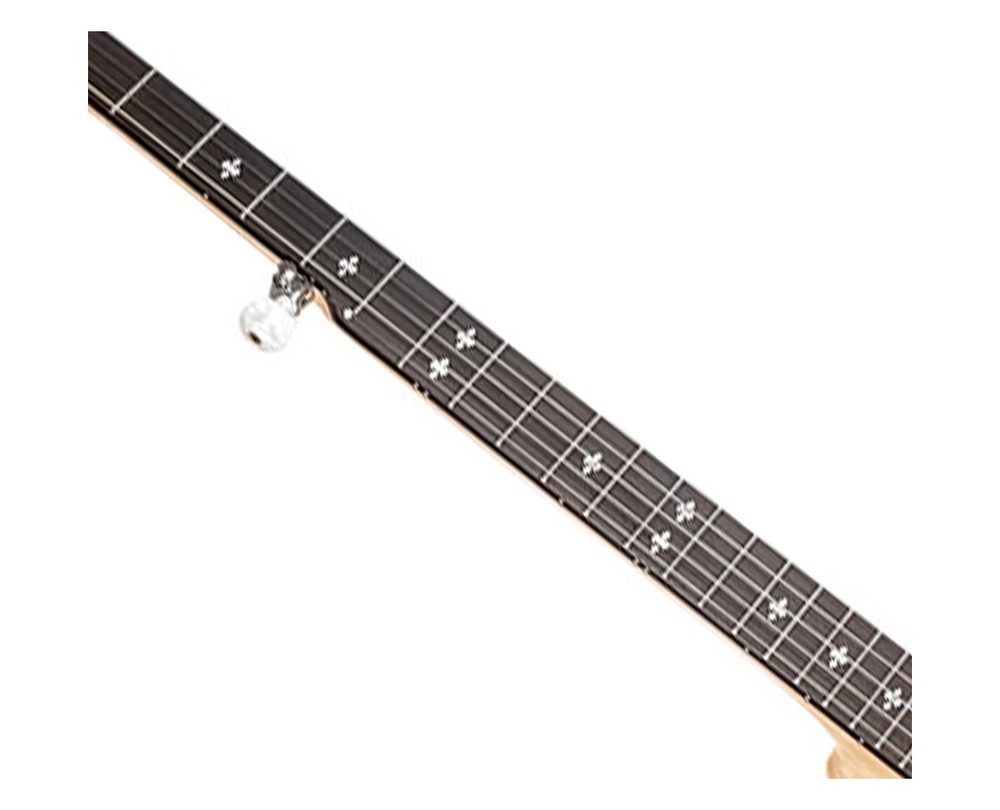 Gold Tone CC-100R Intermediate Resonator Banjo - Open Box