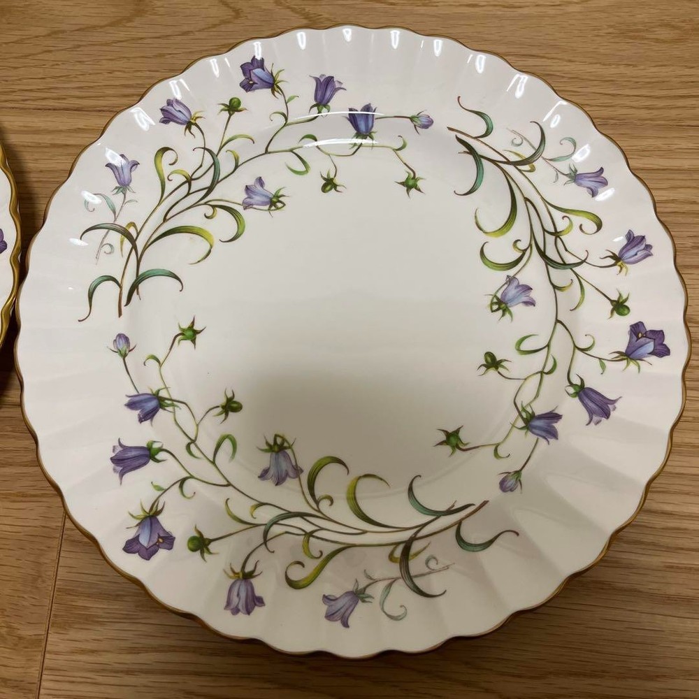 Spode Canterbury Plate 27cm Pair Set