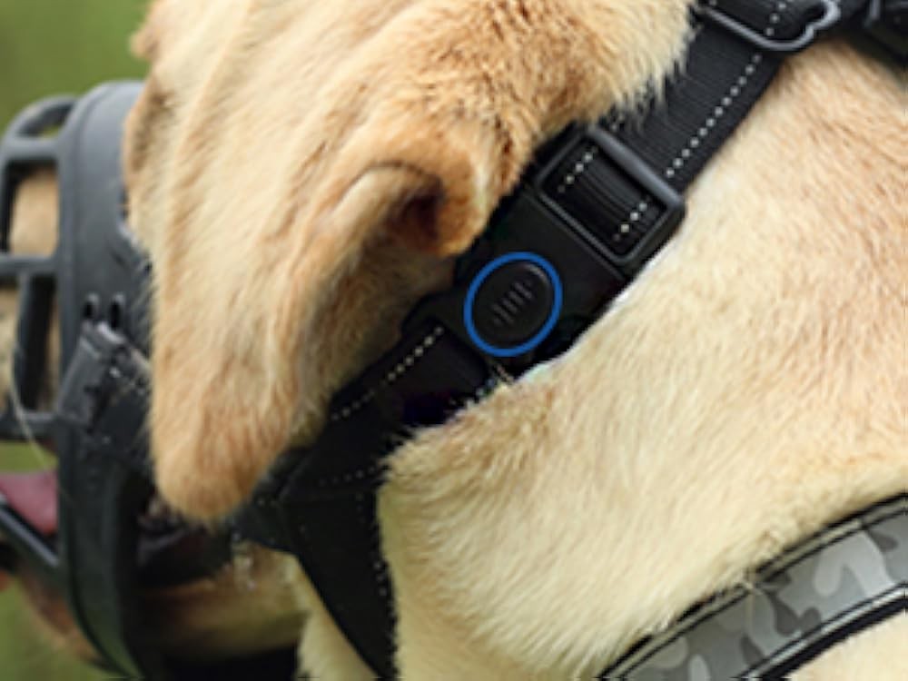 BARKL Dog Muzzle, Silicone Basket Muzzle for Small Medium Lar Dogs,