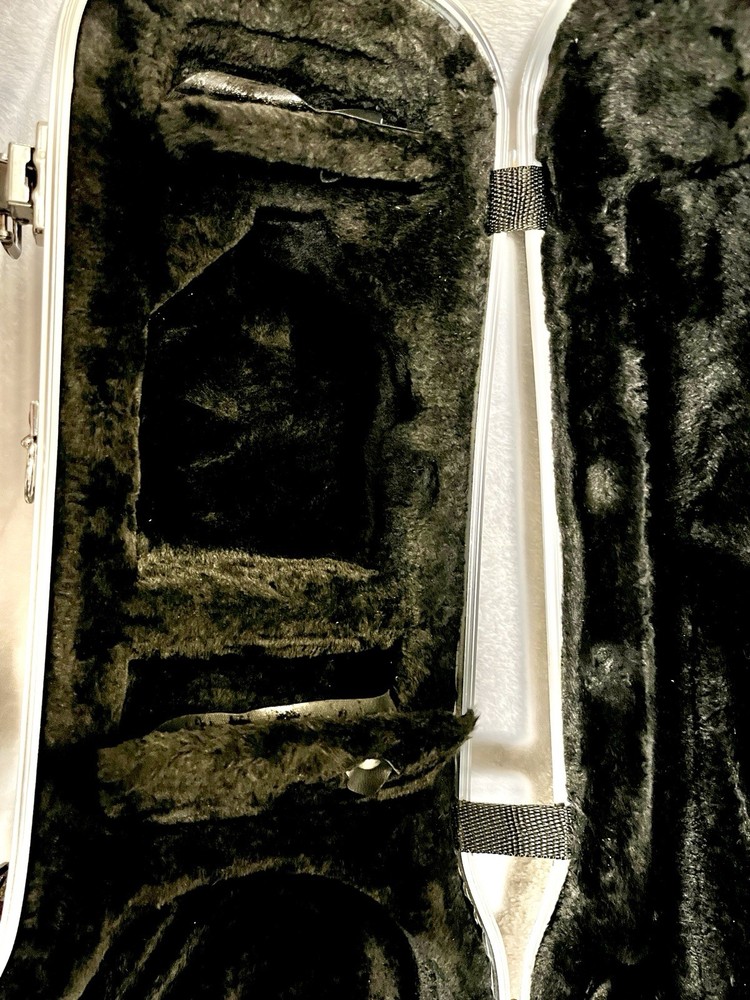 BIG Viola Thermoplastic Hard case