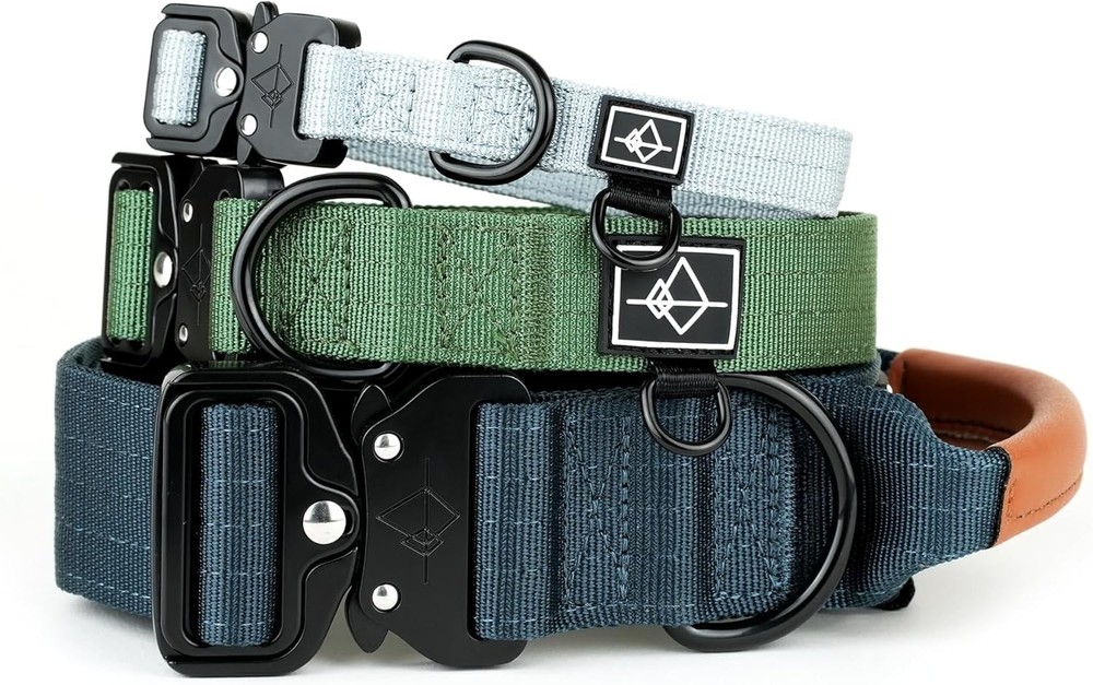 Nylon Dog Collar - Adjustable, Quick-Release Buckle