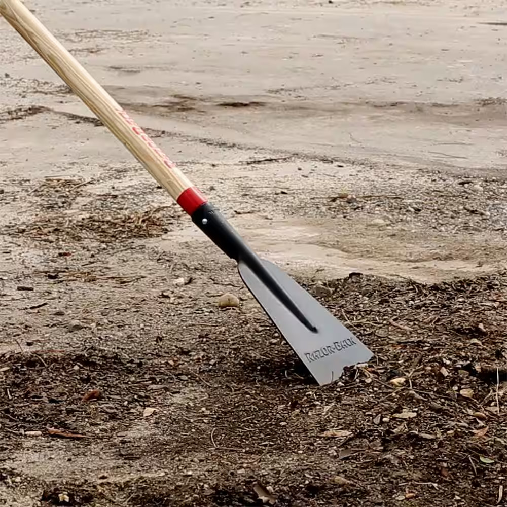 7 In. Forged Sidewalk Scraper