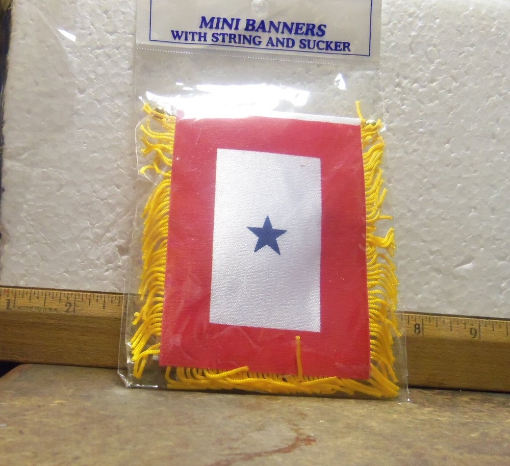 Blue Star Service Mini Banner