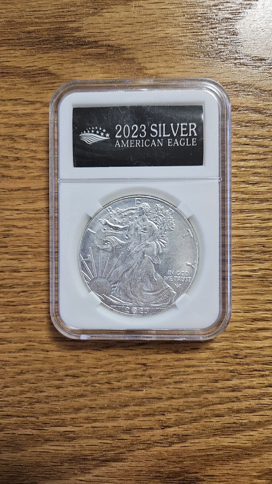 2023 SILV*ER AMERICAN EAGLES 1 OZ BULLION COIN