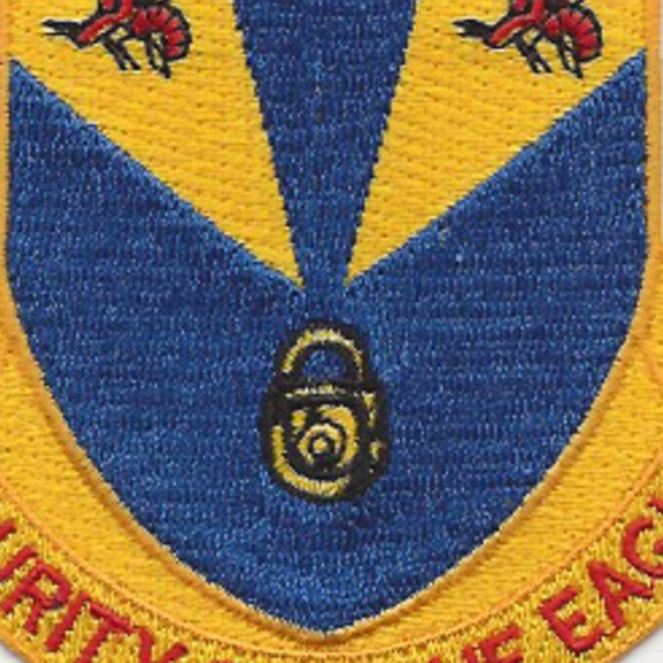 922nd Airbase Security Battalion Patch