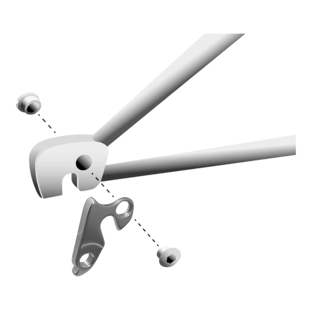 Derailleur Hanger 38