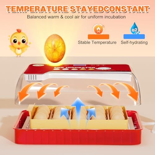 Incubators for Hatching Eggs 15-35 Eggs Incubator with Automatic Egg Red