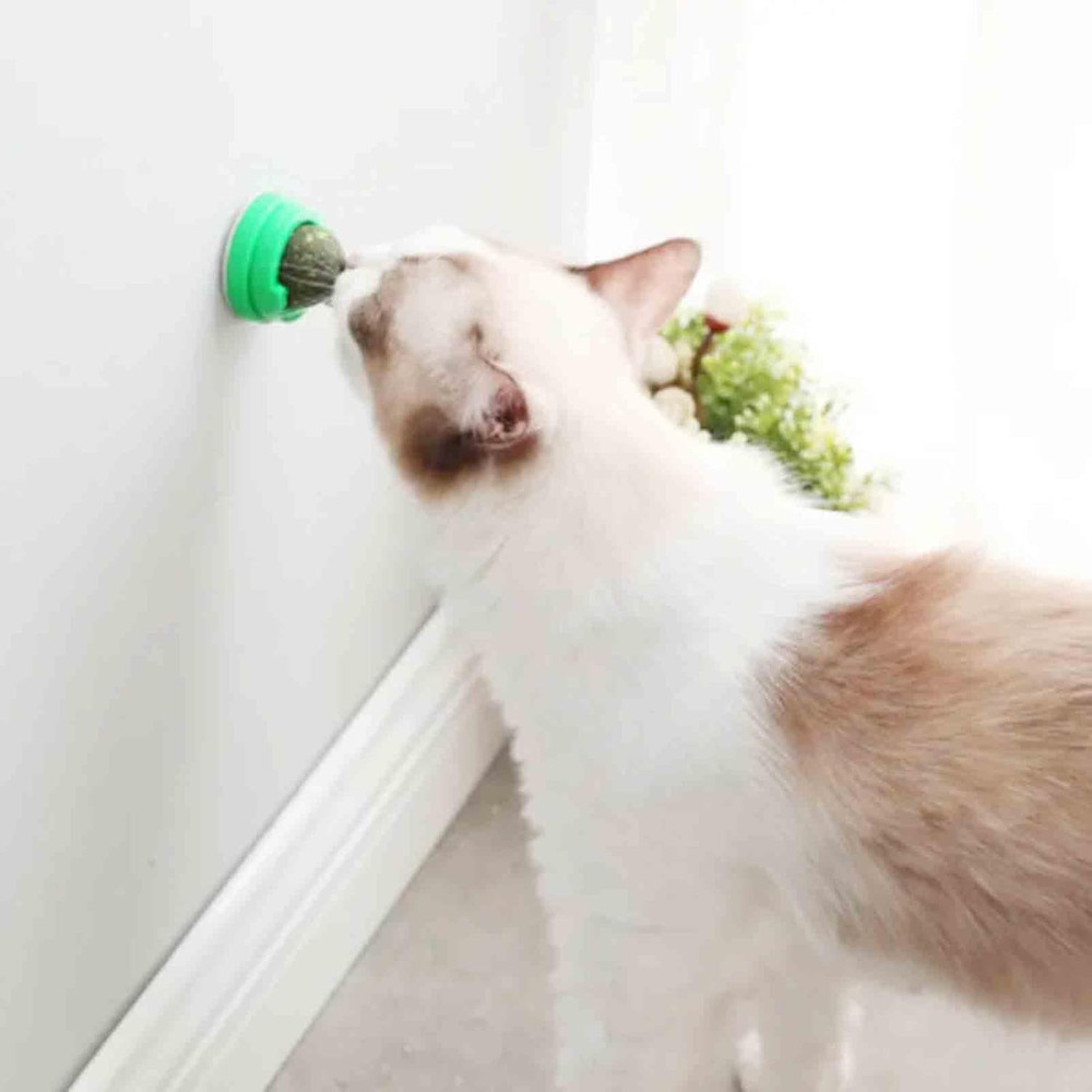 6 PCS Catnip Balls