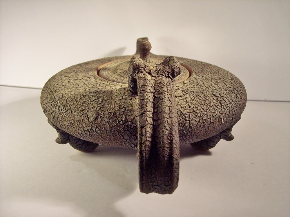 UNIQUE ART TEXTURED TEAPOT "THIRST" TERRIFIC