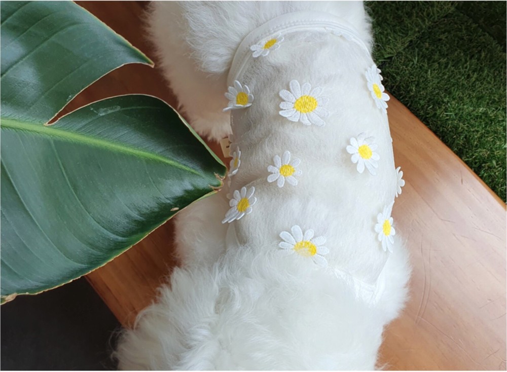 Summer Daisy Mesh Top [Handmade in Korea]