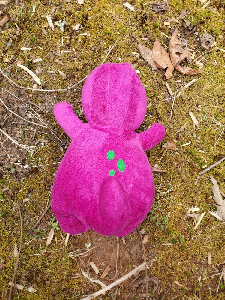 Haunted Stuffed Animal