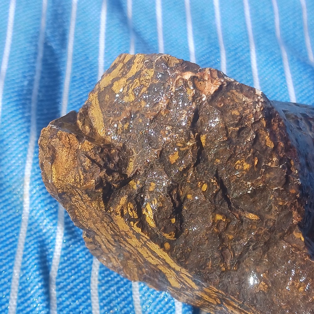 Jasper Rough Specimen Display Lapidary Potential