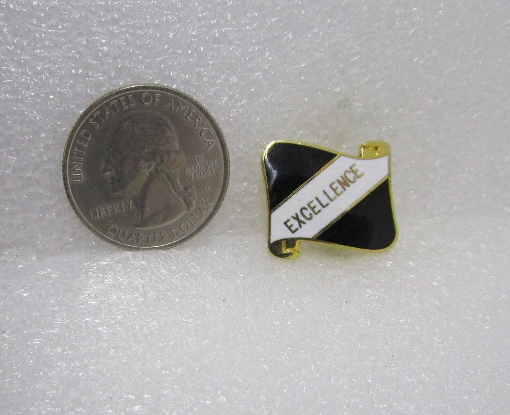 Excellence Pin