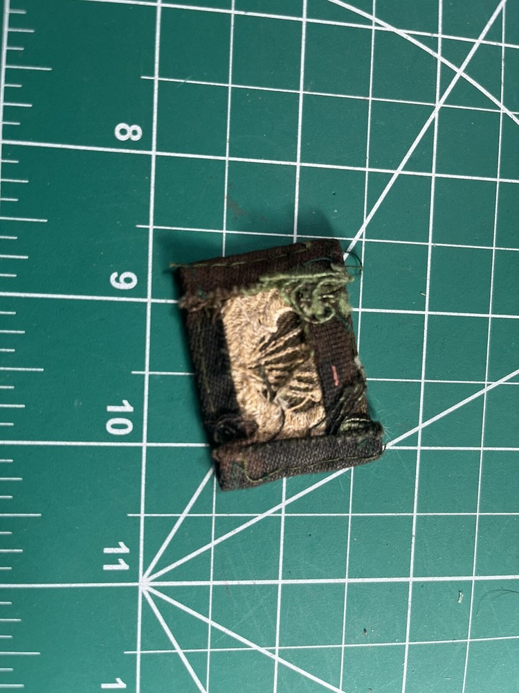 Airborne Jump Wing Cloth