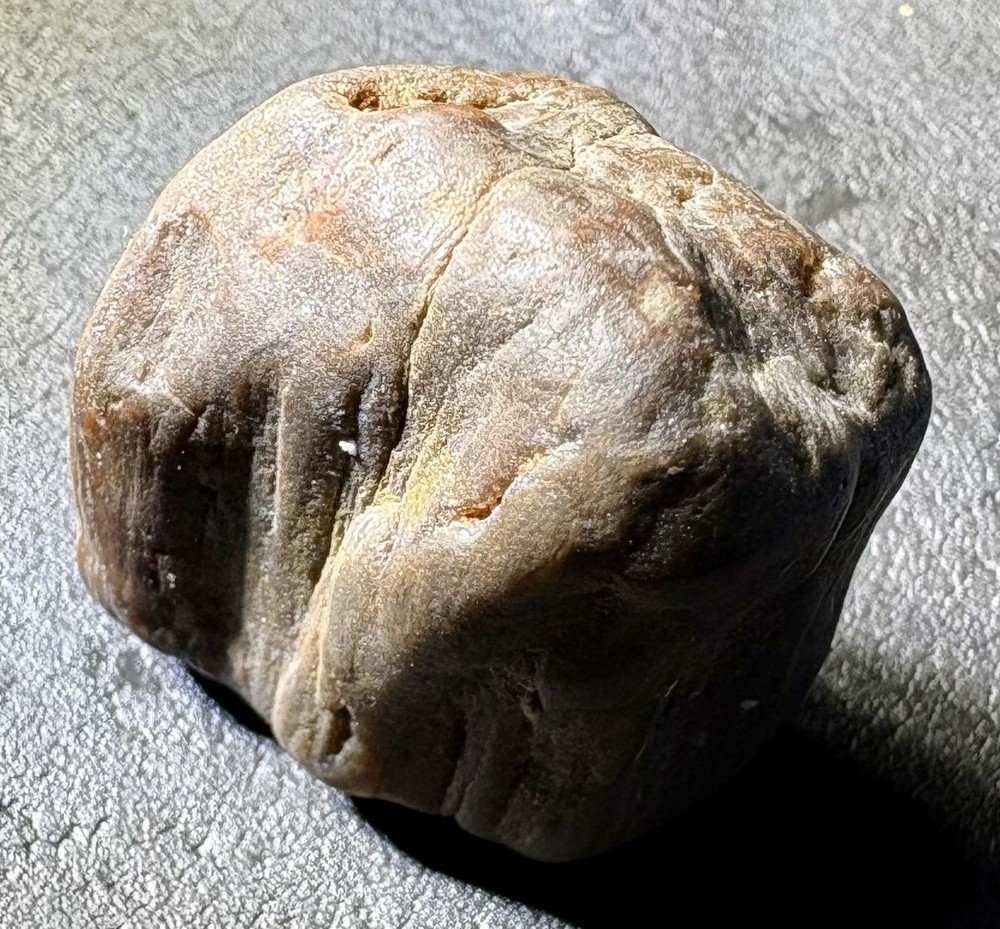 1 oz Petrified Wood