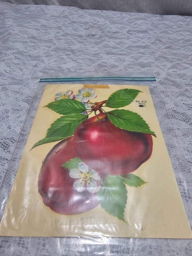 Vintage Eagle Decorative Decals Pattern Number 212