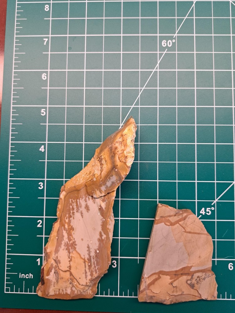 2 beautiful picture jasper slabs 111 grams