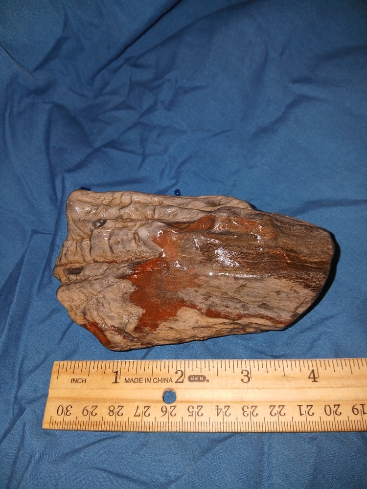 12 oz Red Gray Petrified Wood