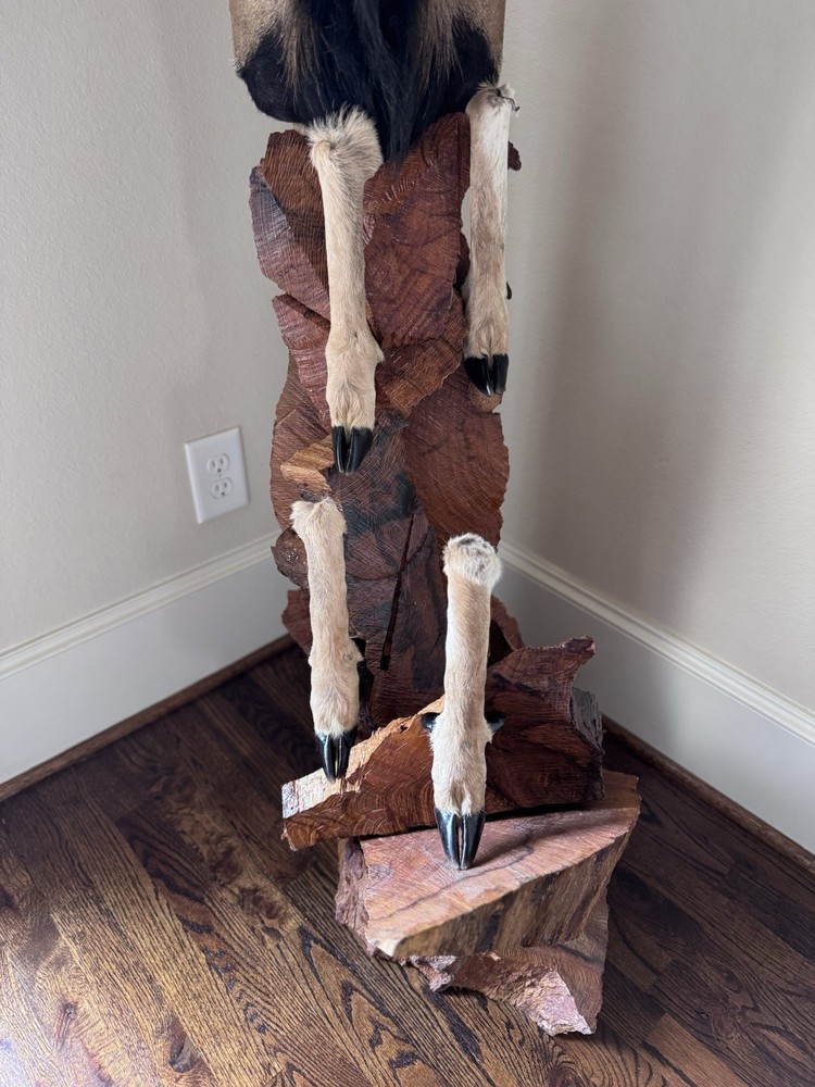 Ram Mount & leg Taxidermy