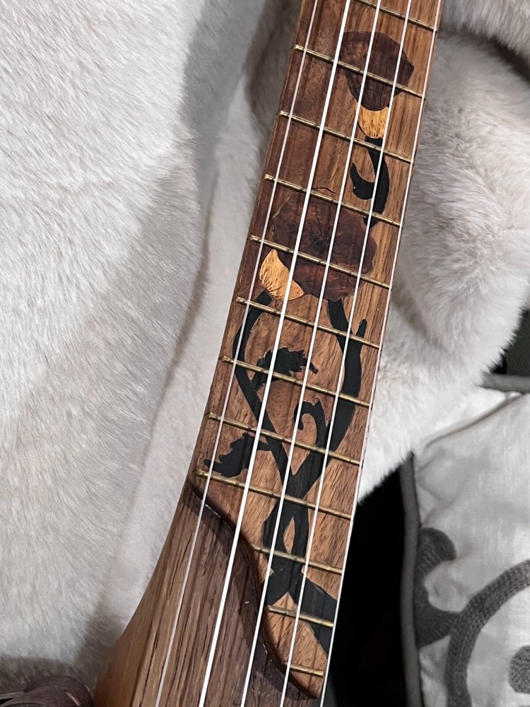 Custom Old-Time Banjo - Blackberry Brand