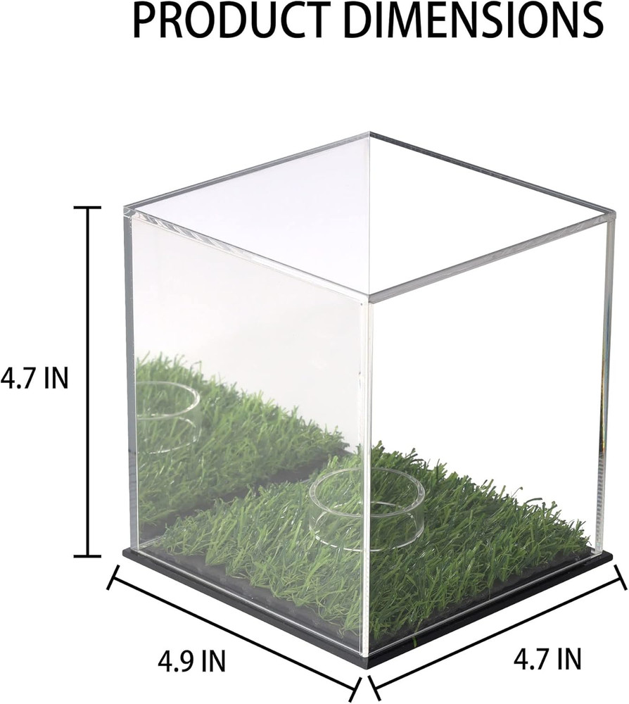 Pro UV Protected Arcylic Softball Display Case Baseball Display Case Stand Champ