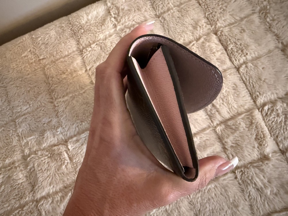 Louis Vuitton Monogram wallet