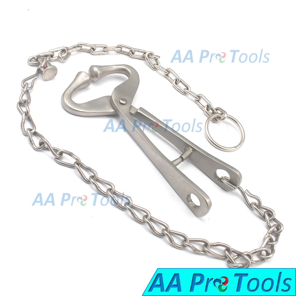 AA Pro: Bull Holder With Hole Hook & Chain Light Pattern