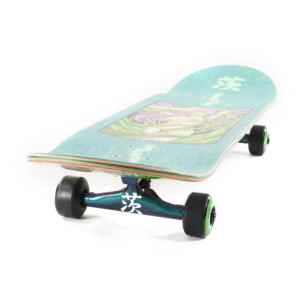 Hook-Ups Thorn Paradise 8.25" Ultimate Pro Complete Skateboard Thunder Bones