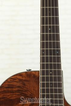 Ovation Celebrity Standard Plus - Nutmeg