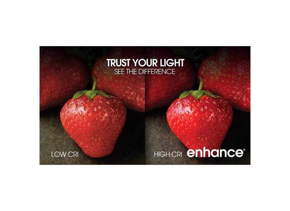 LED Bulb A19 E26 (Medium) Soft White 100 W Soft White Pair