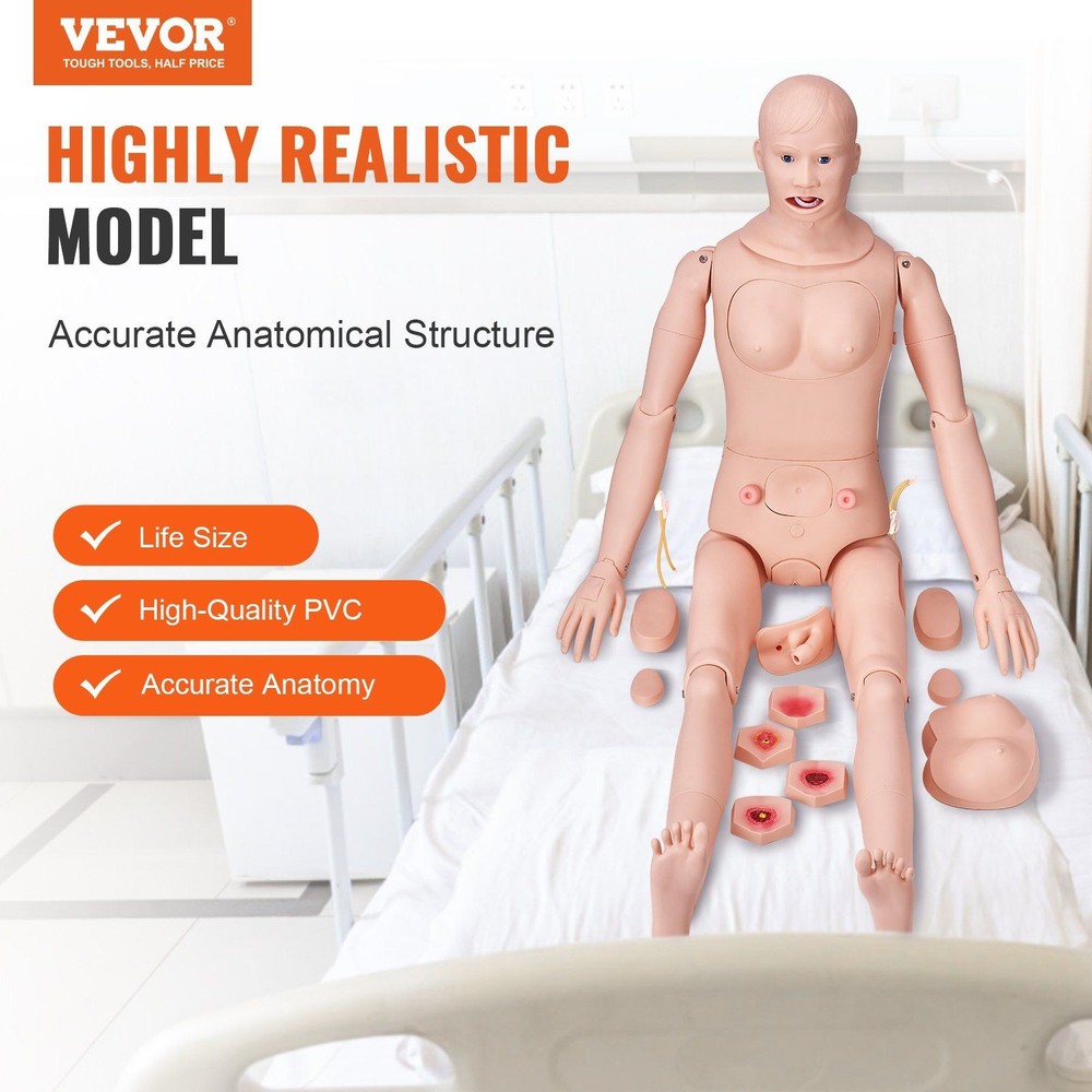 Life-Size Anatomical Care Simulator with Multifunctional Training Features