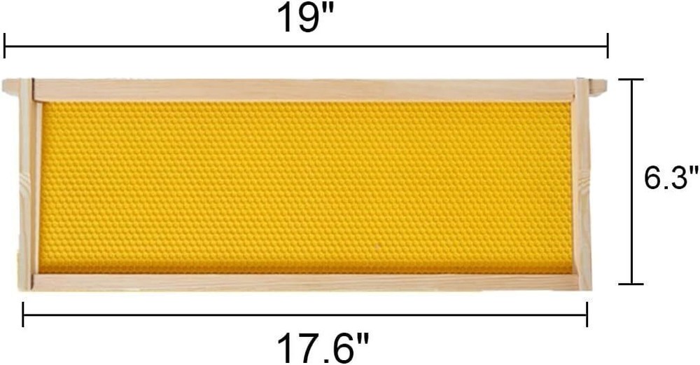 Medium Beehive Frames and Wax Foundations 10 Pack Honey Bee Frames 6-1/4-Inch
