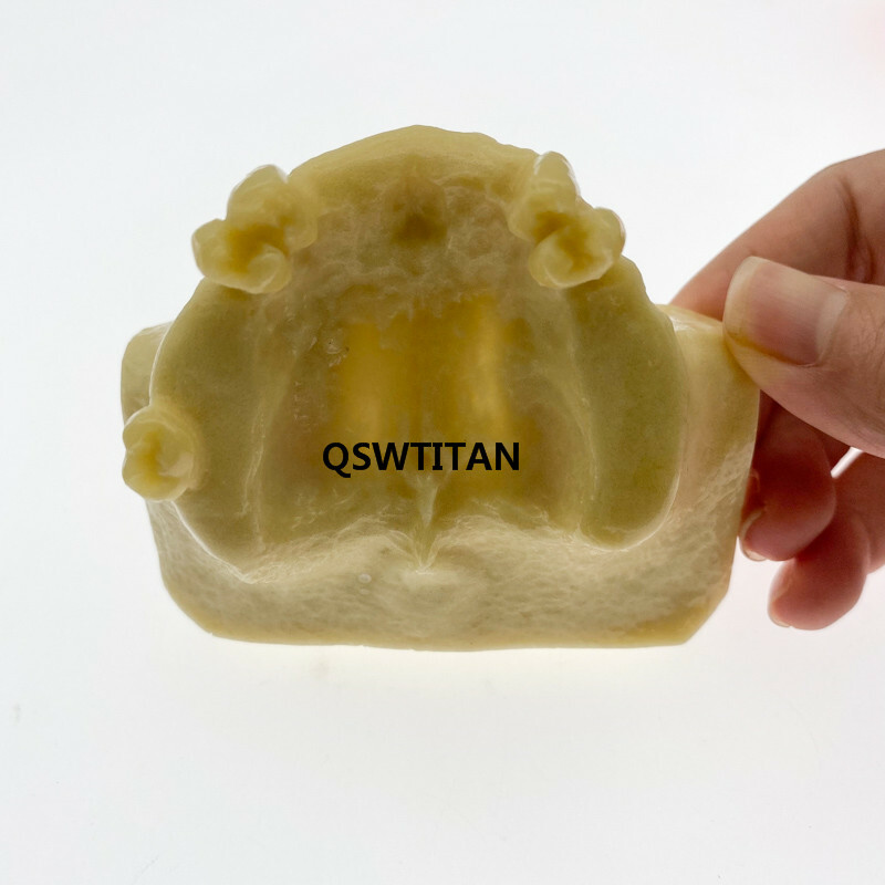 Dental Sinus Lift Practice Teeth Model Typodont Study Model 2013F