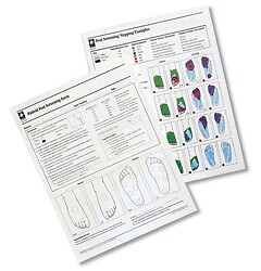Touch Test Sensory Evaluators