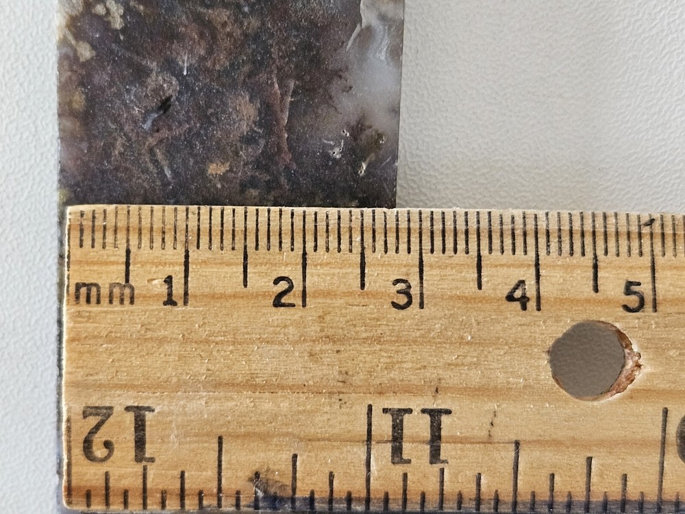 Agate Lapidary Slab With Moss