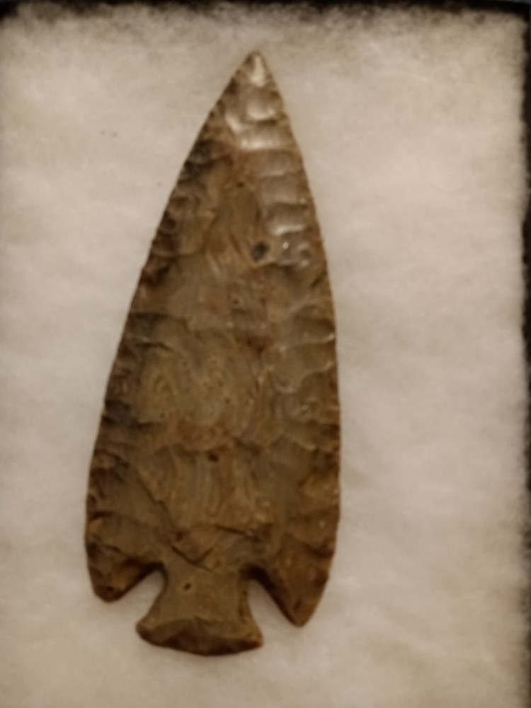Rynhart Dove Tail Spear Point. grey Gost