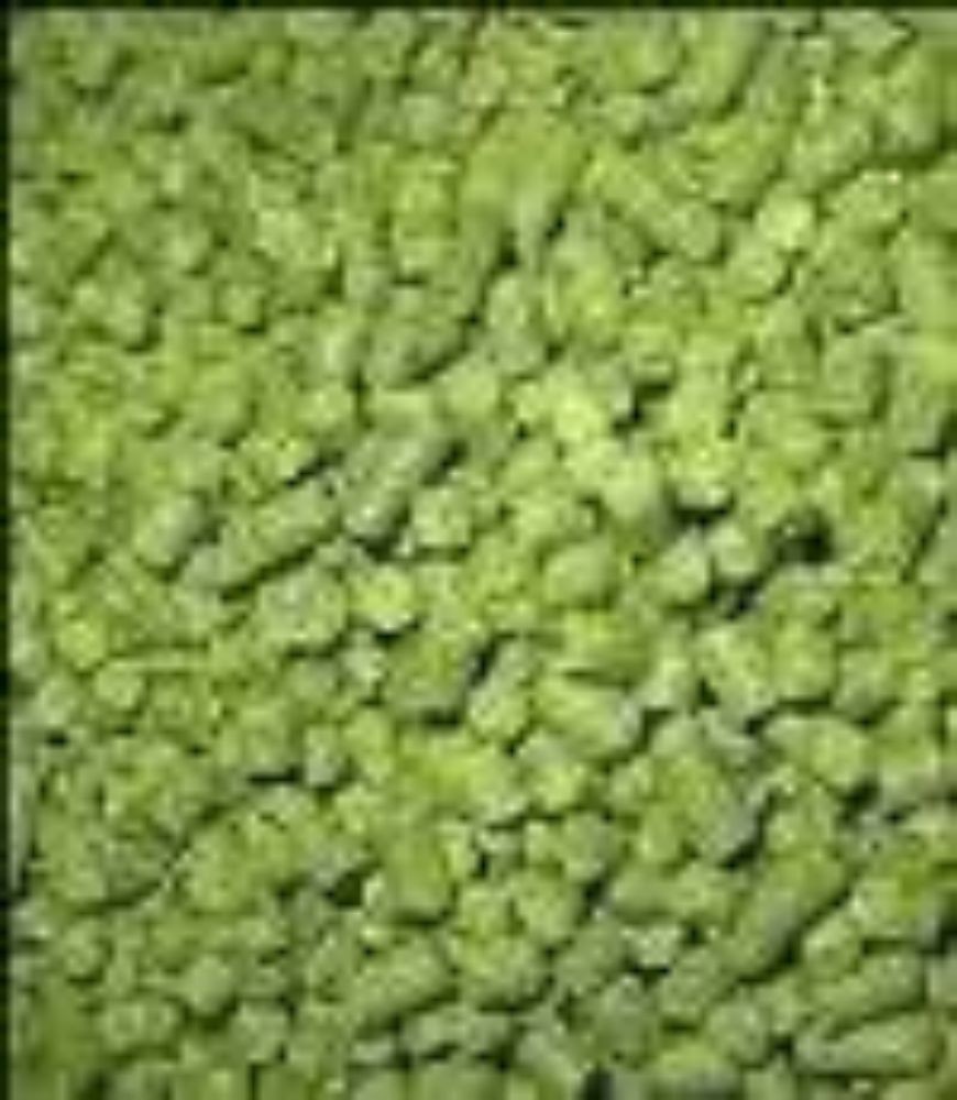 Saaz Hop Pellets 3oz for Home Brew Beer Making