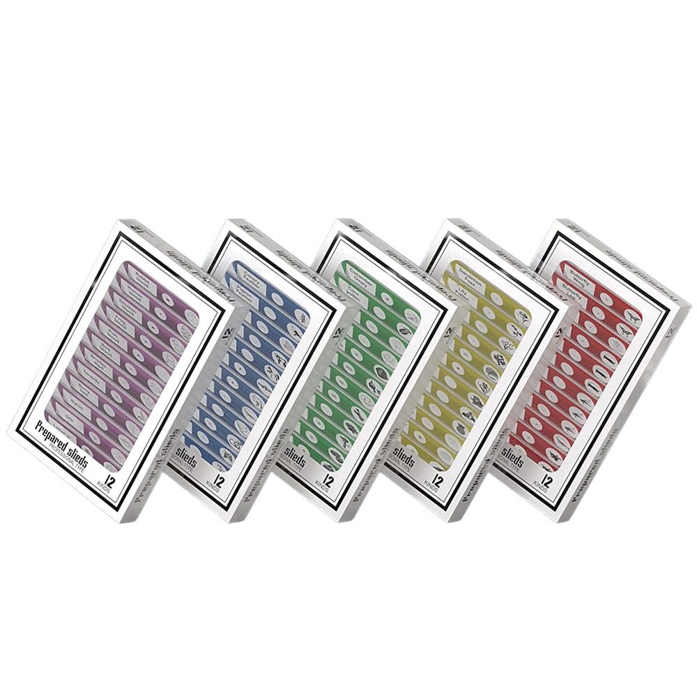 Experiment with 60 Prepared Microscope Slides - Perfect for Student Discovery