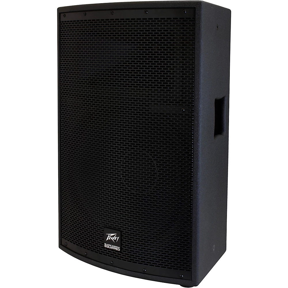 Peavey SP 2 2-Way 15" Speaker