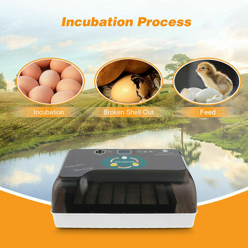 Automatic Egg Incubator for Hatching Eggs 12 Eggs Incubator Automatic Egg Turn