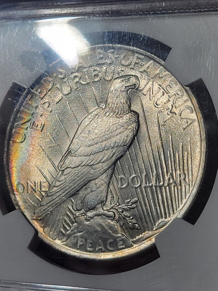 1922 $1 Peace Dollar MS65 NGC Toned