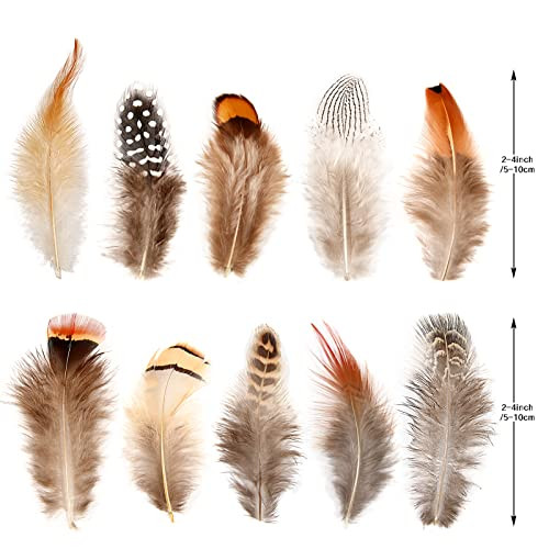 SendyFeather 200pcs 10 Style Natural Feathers Assorted Mixed Feathers for