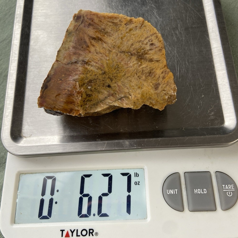 Sagenite Agate Natural Rough 6.27 Oz!