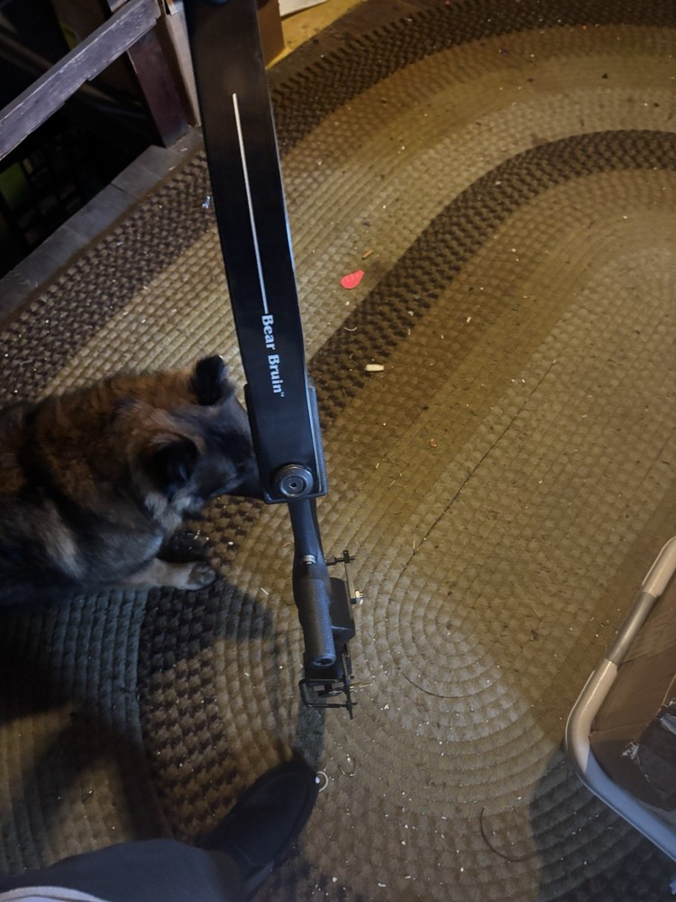 Bear Compound Bow with Case