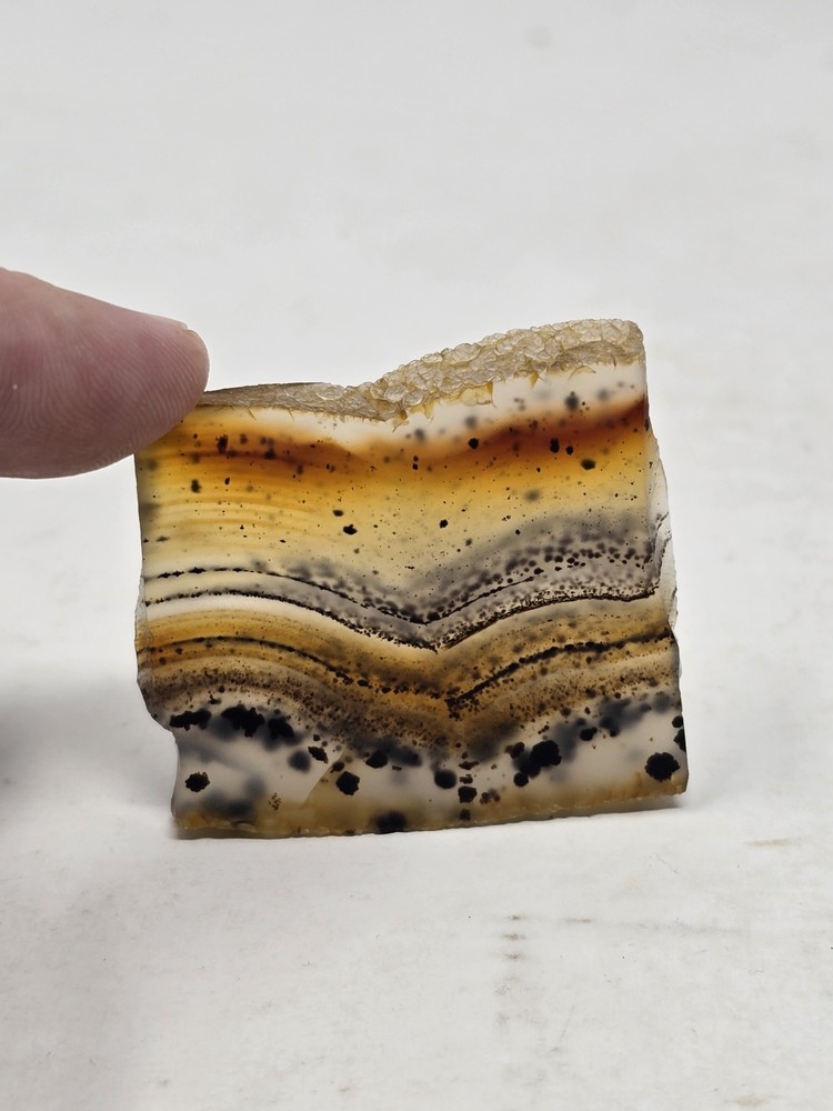 Polished Montana Moss Agate Yellowstone River stone