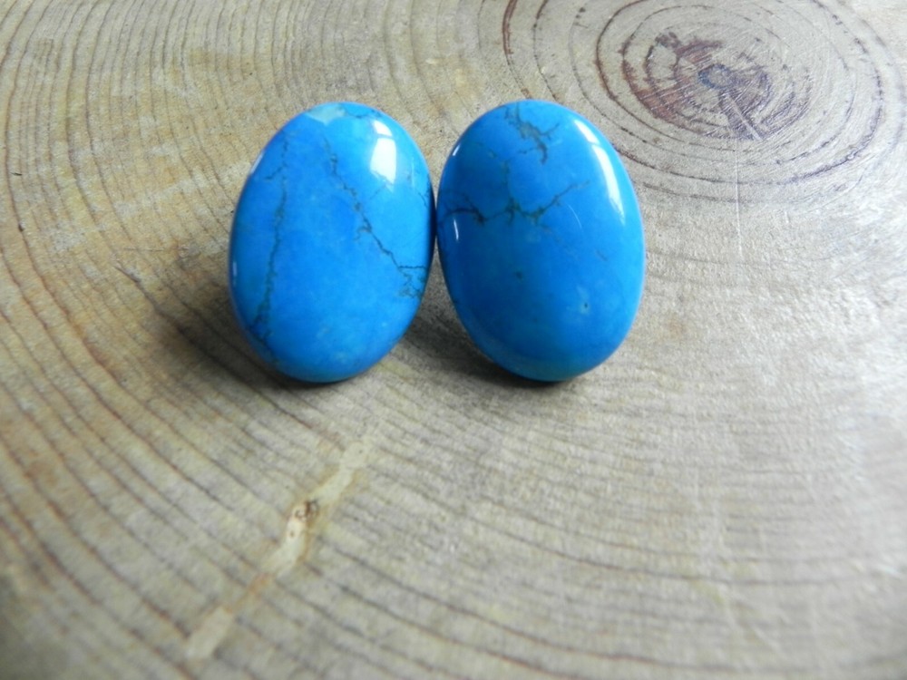 Turquoise Howlite Oval shaped Earrings