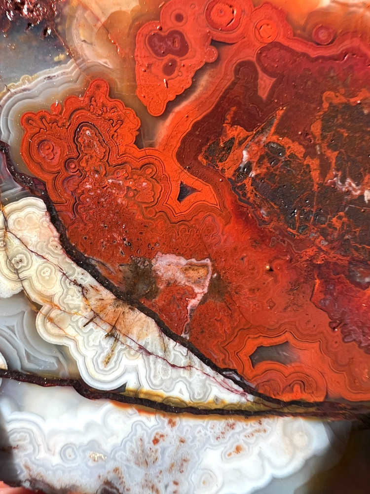 Outstanding Mexican Crazy Lace Agate End-Cut Slab - 137g